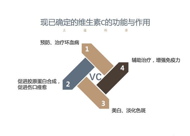 合作伙伴计划