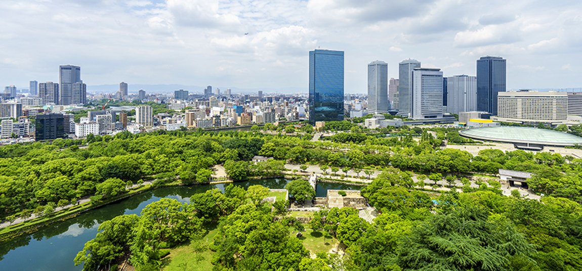 内控建设咨询服务